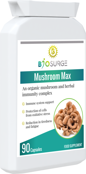 Mushroom Max - Image 5