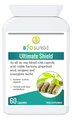 Ultimate Shield - Image 5