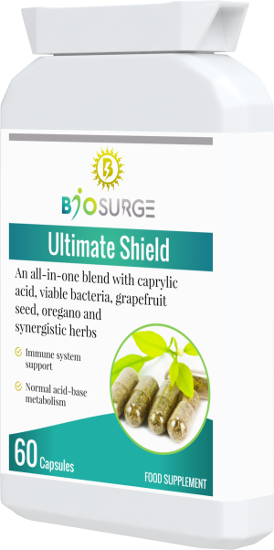 Ultimate Shield - Image 6