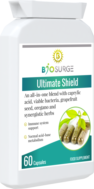 Ultimate Shield - Image 3